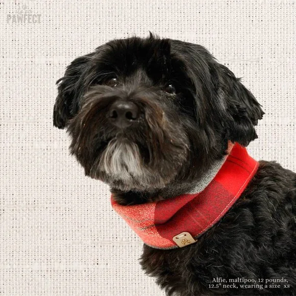 XS Flannel Dog Bandana Infinity Scarf for small dogs - Picture 2 of 13
